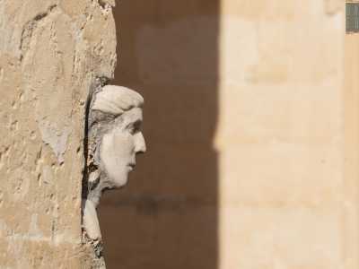 L�espressione � composta, quasi assorta, senza tensioni: trasmette una sensazione di calma e di distacco, tipica di molte figure femminili dell�arte classica. Il mento � piccolo e armonioso, mentre il collo, visibile solo in parte, contribuisce a dare eleganza alla figura